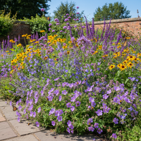 Pollinator Paradise