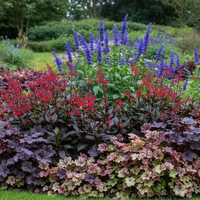 Purple & Foliage Plant Box - Garden Scene